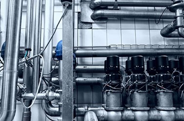 Правдивая история из действительности