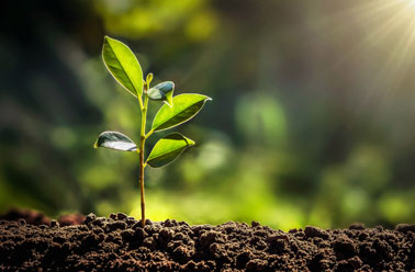 Análisis energético