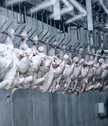 Éviter les roulements ouverts