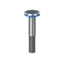 CBXH - Carriage bolt, square hole