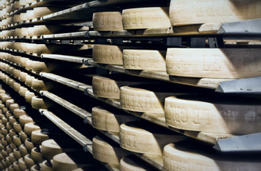 Nachrüstung zur Vermeidung von Rissen und Öffnungen im Boden